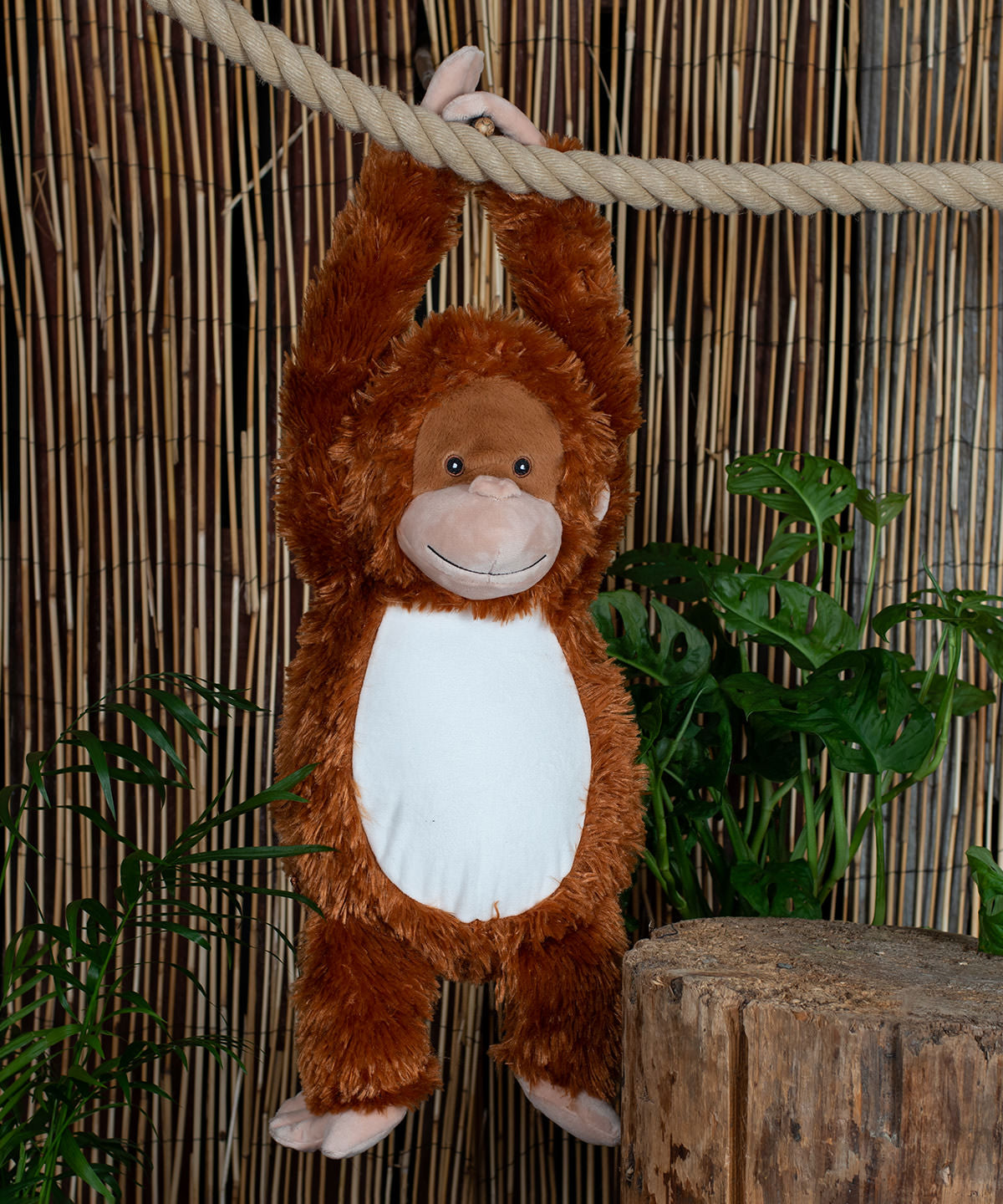 Ozzy The Orangutan
