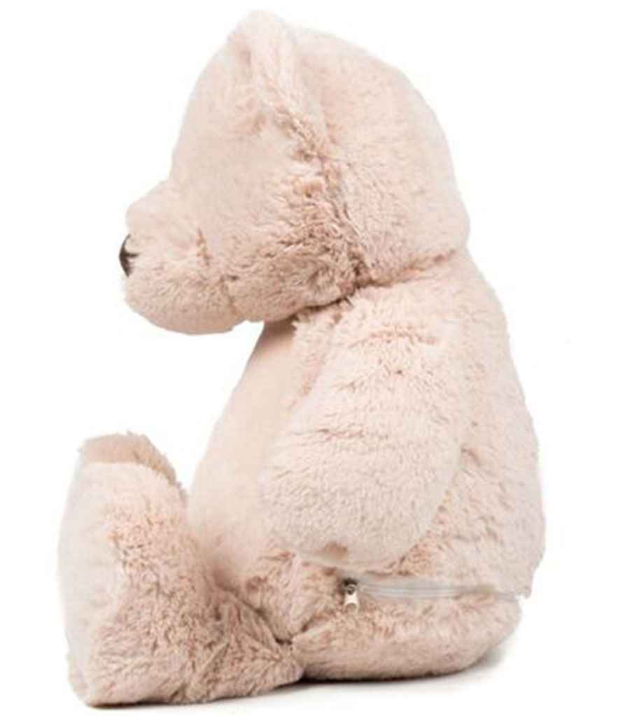 Timothy the Teddy