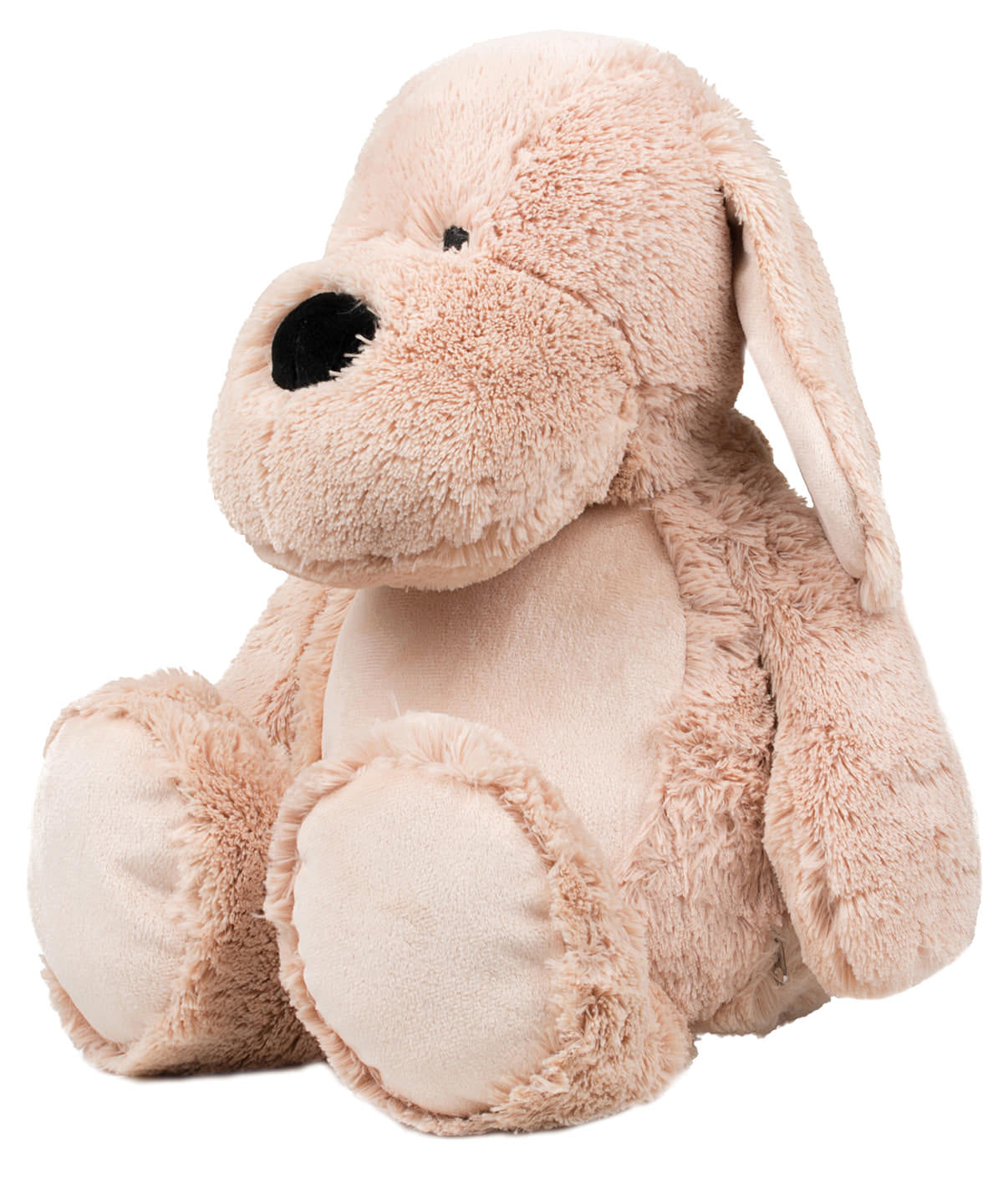 Dior Brown Dog