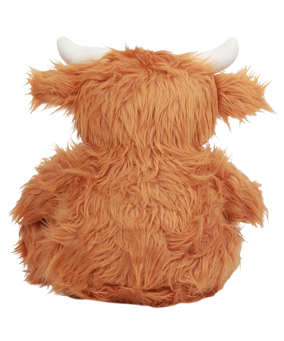 Hendrix the Highland Cow