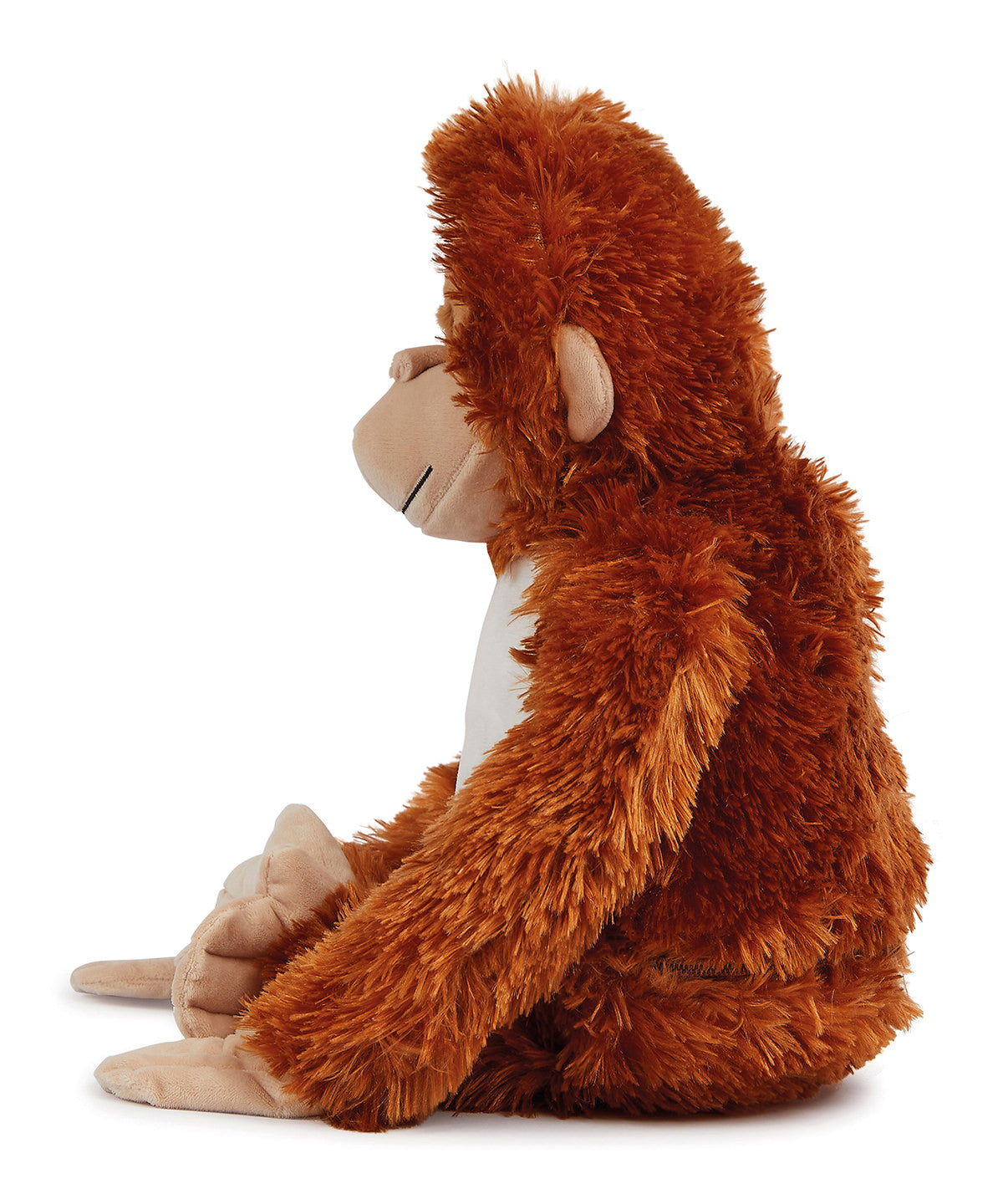 Ozzy The Orangutan